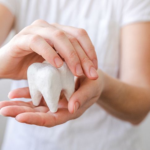 a person carefully holding a model of a tooth