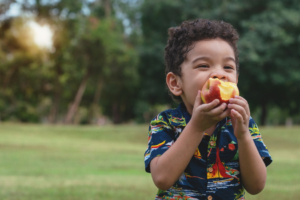 a child snacking on an apple